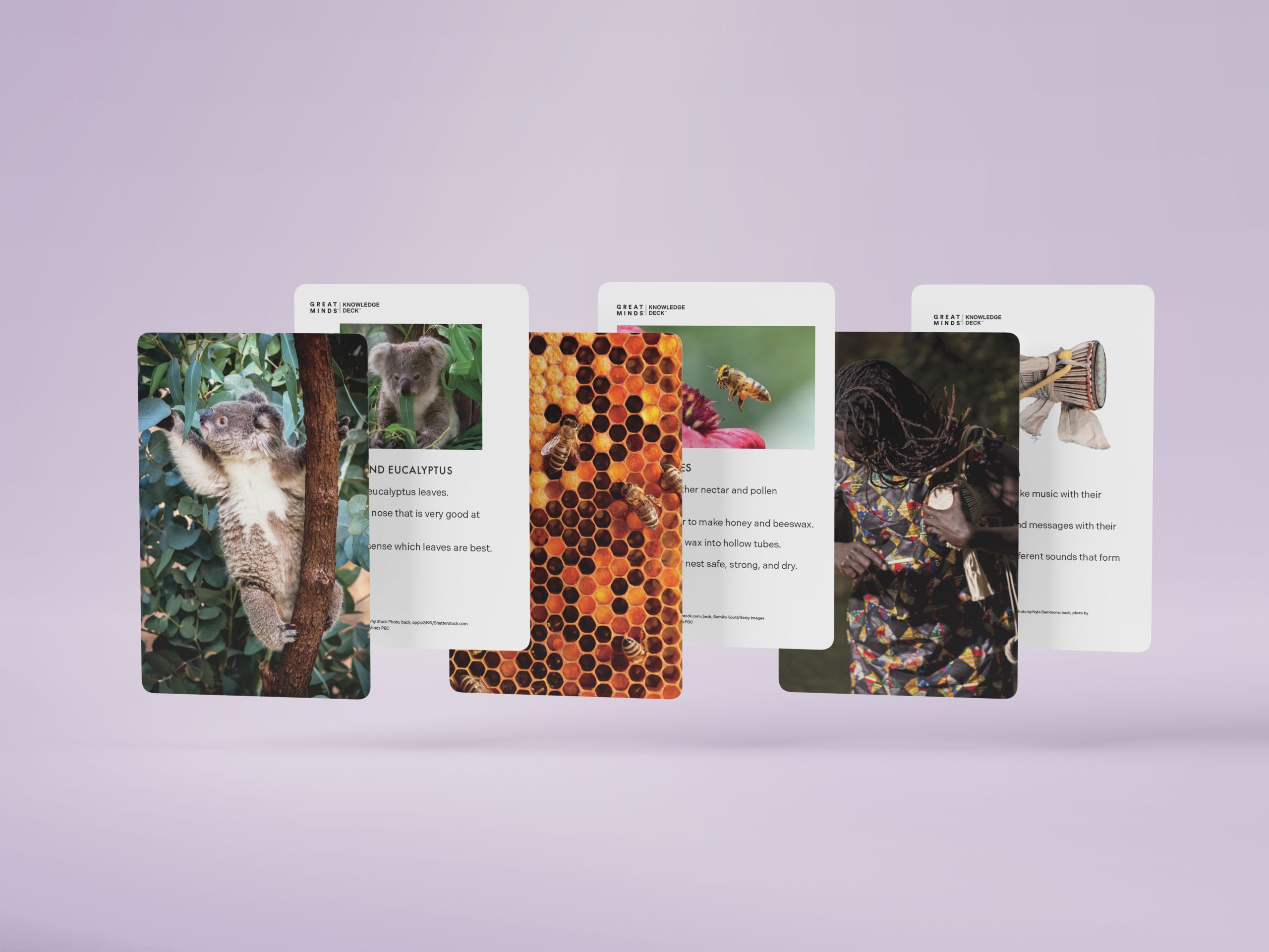 Knowledge-Deck-Mockups