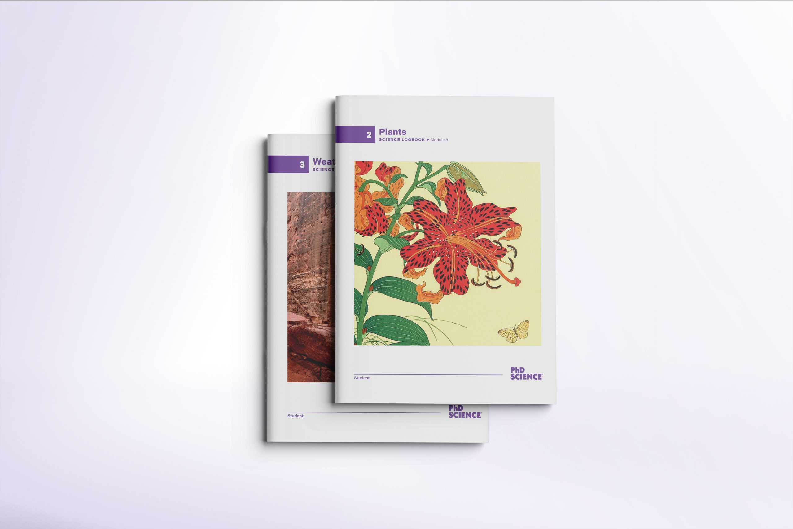 SL_2Covers